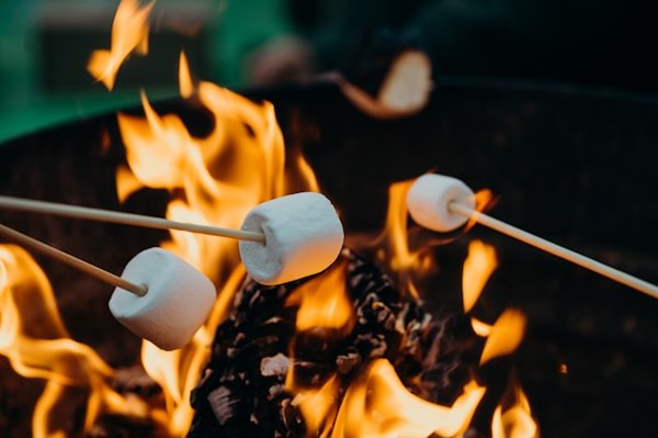 Découverte des meilleurs campings à Murol 63
