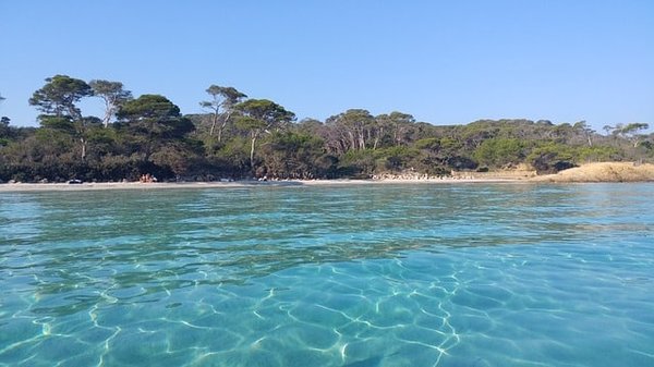 Les Meilleurs Campings du Sud de la France pour des Vacances Inoubliables
