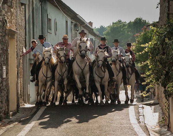 Les secrets pour une expérience inoubliable en camping en Camargue