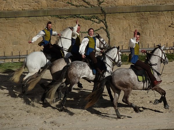 Les beaux campings a proximité du Puy du Fou
